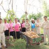 18 มีนาคม วันท้องถิ่นไทย